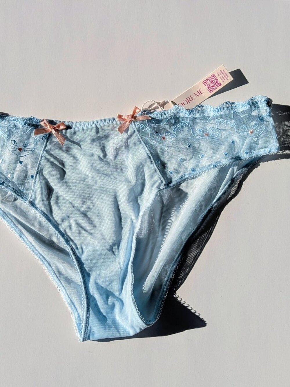 Adore Me Beanie Bikini Panty NWT Size L Blue Cute Cat Embroidery Sheer